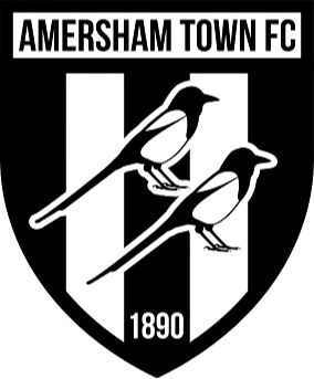 阿默舍姆鎮(zhèn)logo